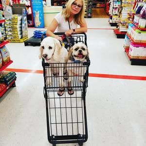 Meet your Posher, Tracy